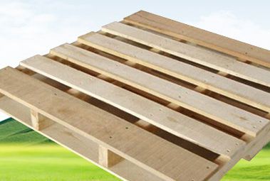 ��͸δ��(l��i)ľ�бP�ИI(y��)�l(f��)չ����